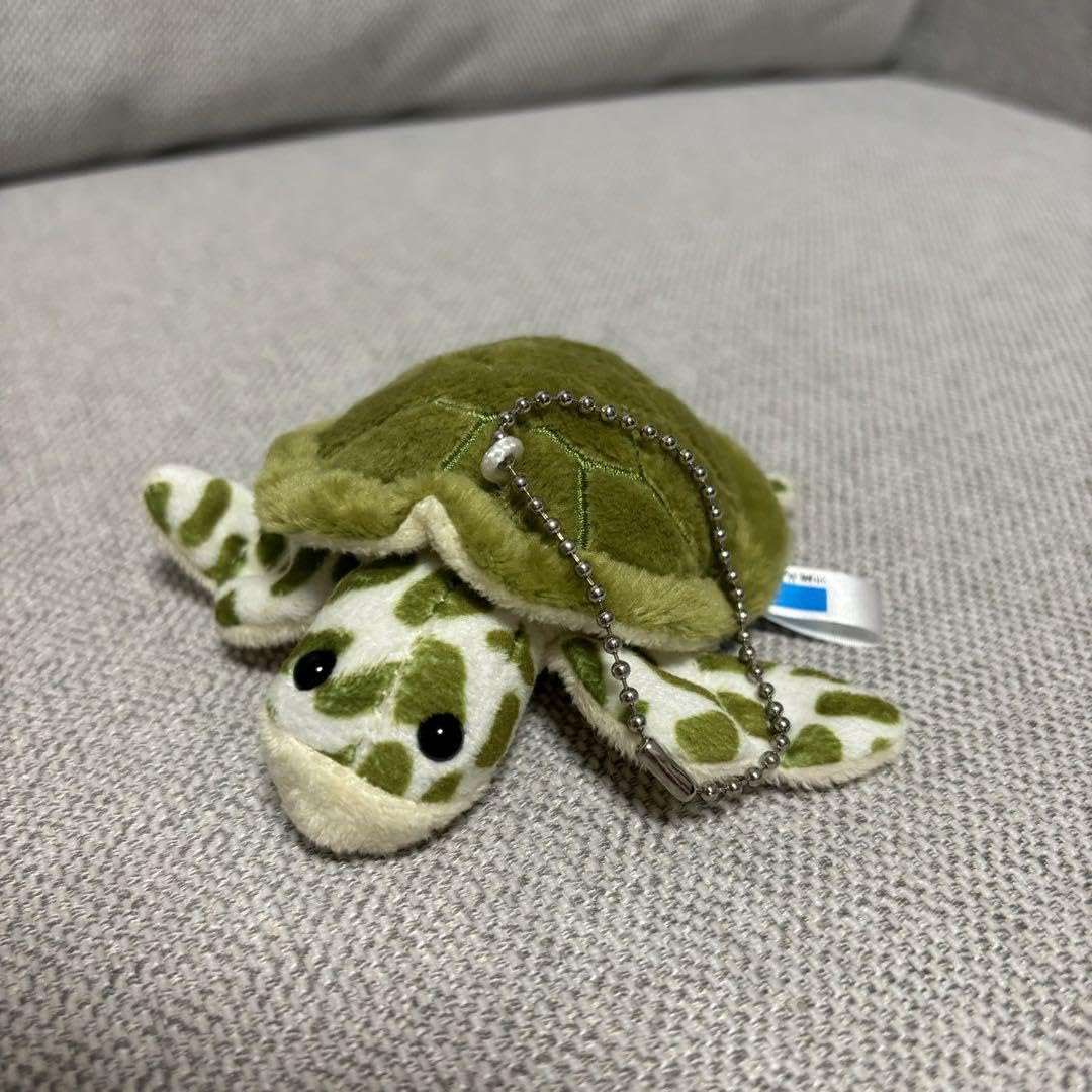 Amazon.co.jp: 美ら海水族館 カメぬいぐるみキーホルダー : おもちゃ